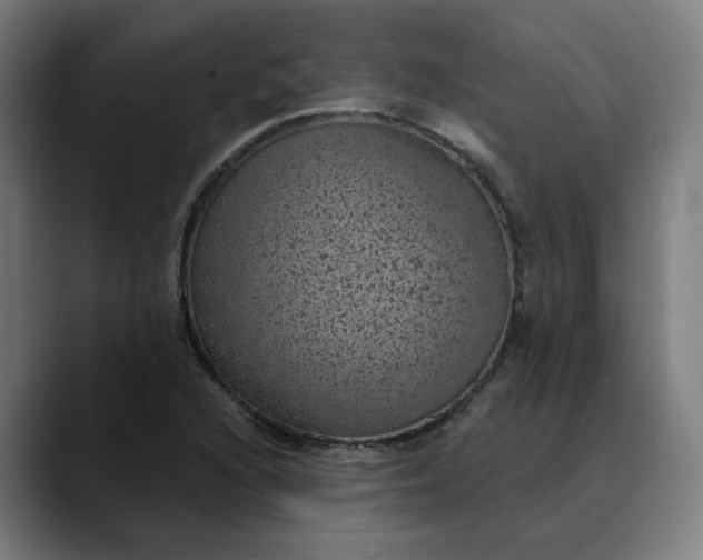 X0000089701216200707121348