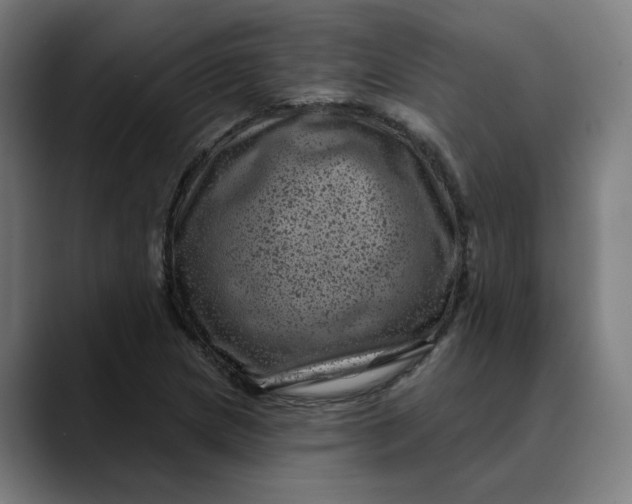 X0000089701217200707121348