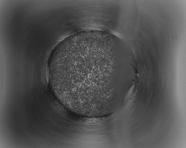 X0000089701219200707121348