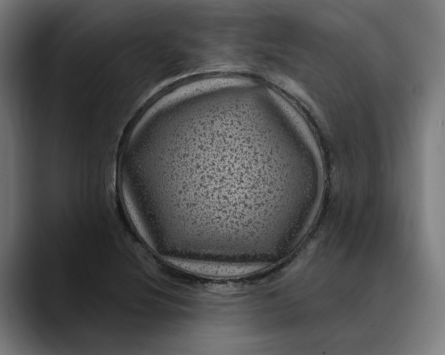 X0000089701220200707121348