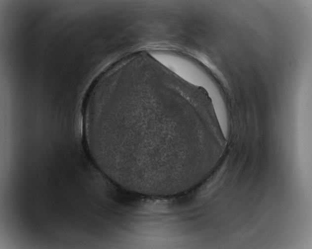 X0000089701221200707121348