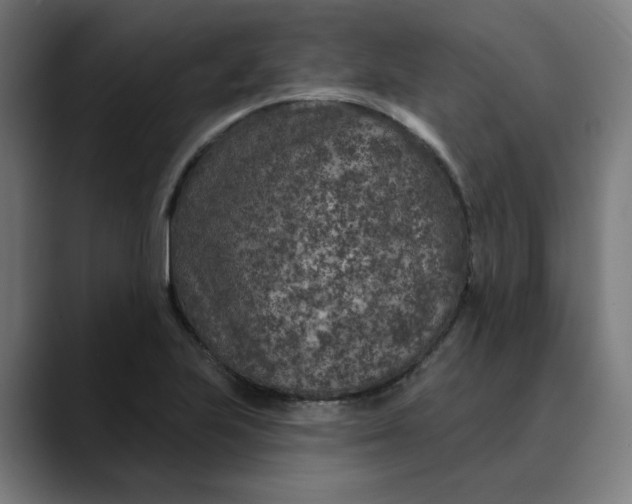 X0000089701223200707121348