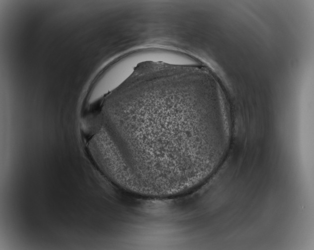 X0000089701224200707121348