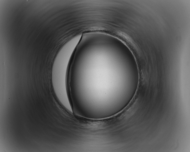 X0000089701225200707121348