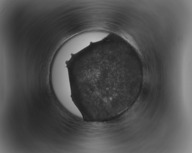 X0000089701226200707121348