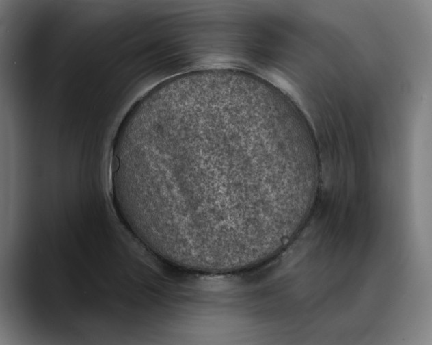 X0000089701227200707121348