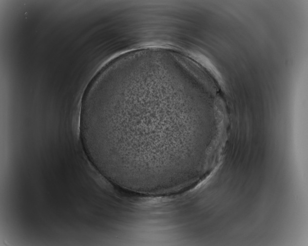 X0000089701228200707121348