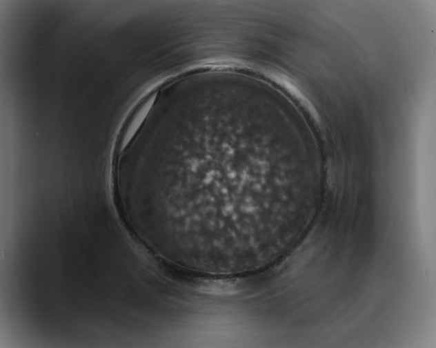 X0000089701229200707121348