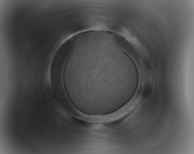 X0000089701230200707121348