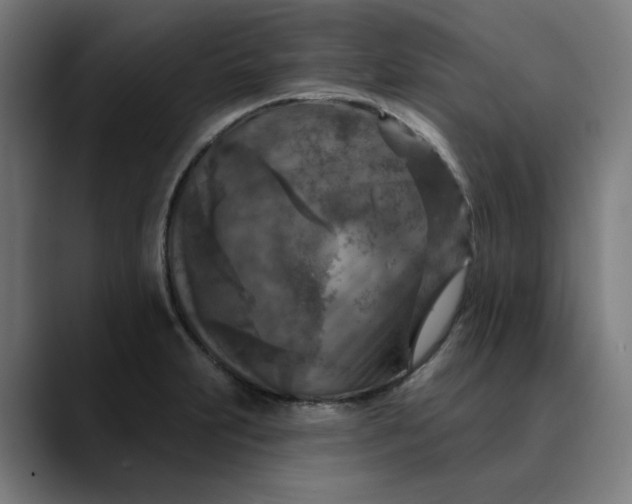 X0000089701231200707121348