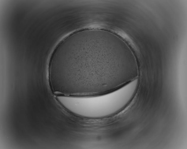 X0000089701232200707121348