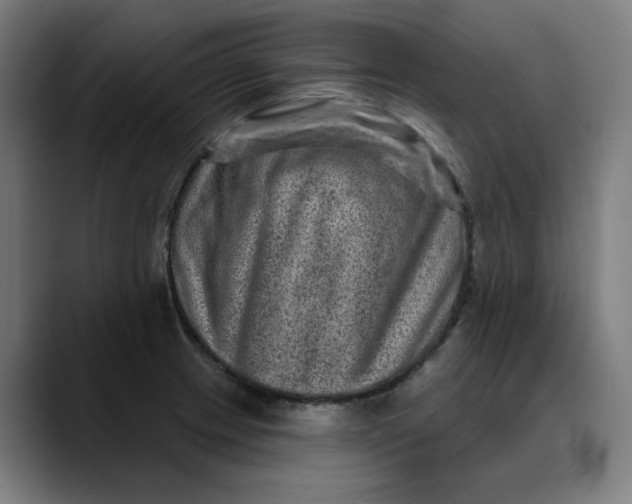 X0000089701233200707121348