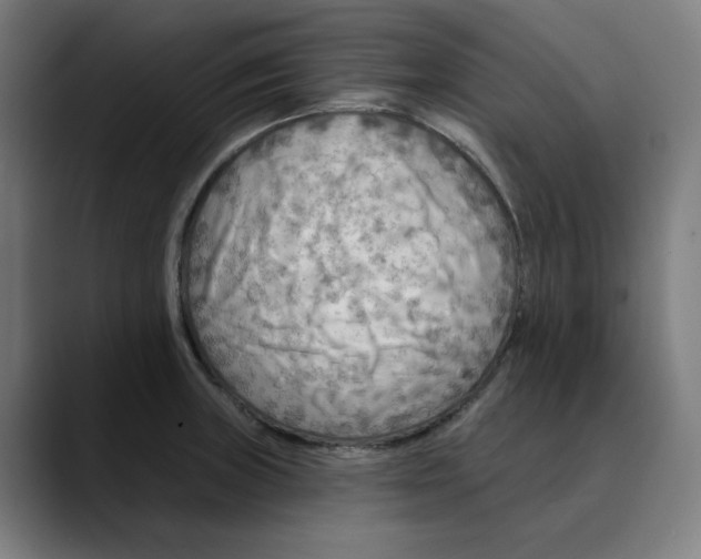 X0000089701235200707121348