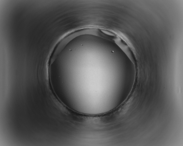 X0000089701238200707121348