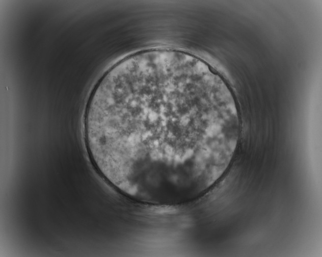 X0000089701239200707121348