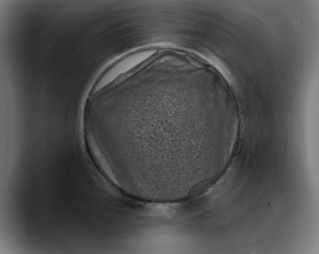 X0000089701240200707121348