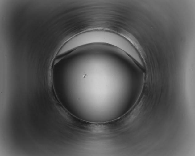 X0000089701242200707121348