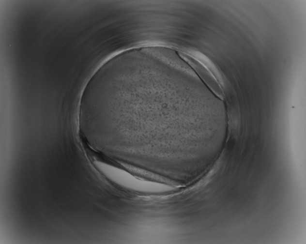 X0000089701244200707121348