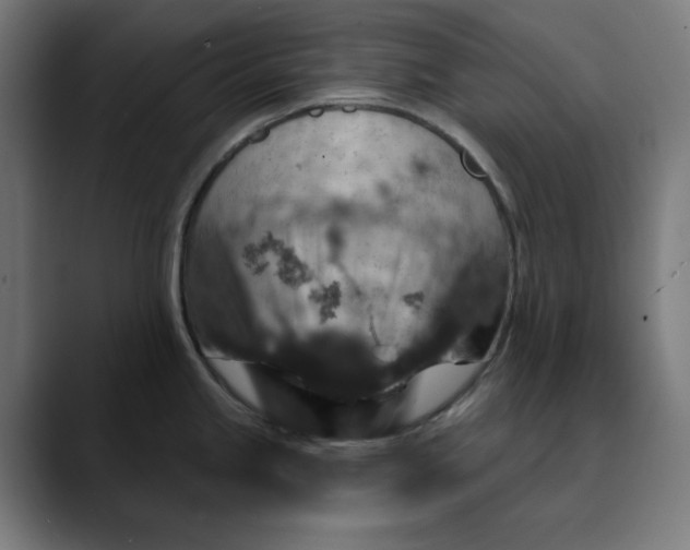 X0000089701245200707121348