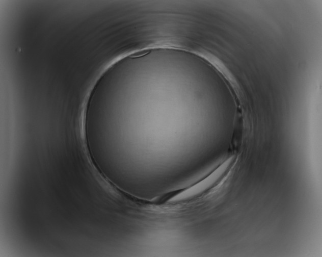 X0000089701246200707121348