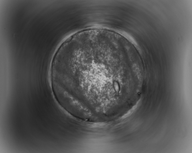 X0000089701247200707121348