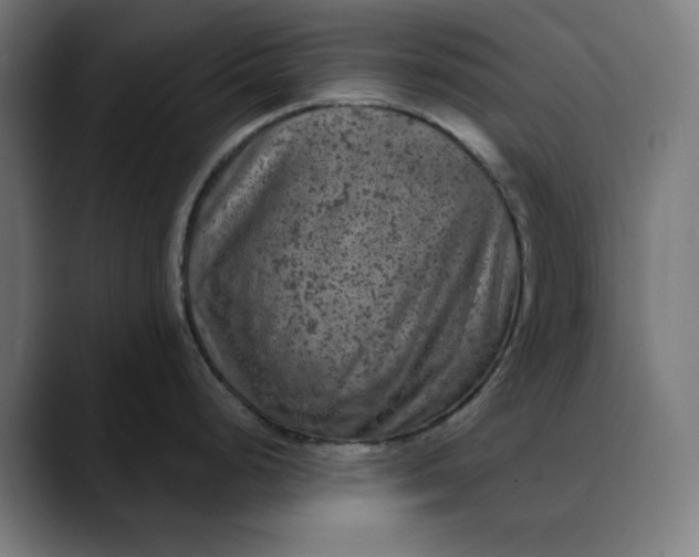 X0000089701248200707121348