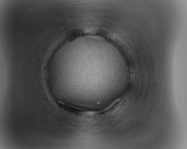 X0000089701249200707121348