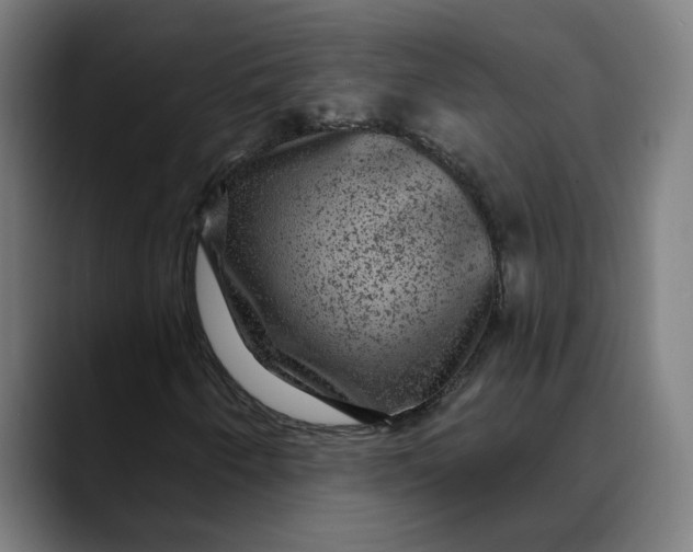 X0000089701250200707121348