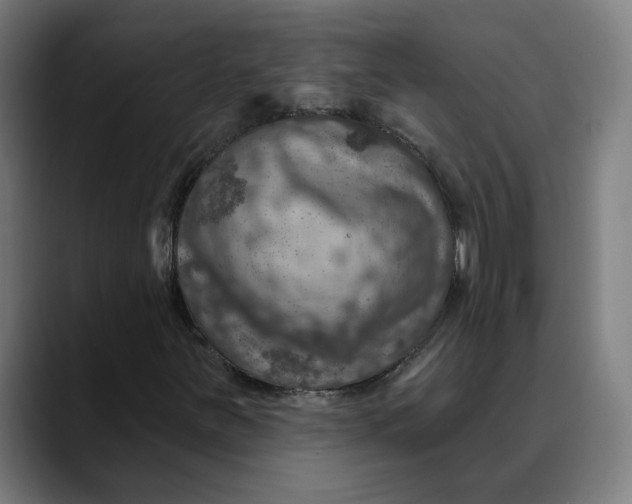 X0000089701251200707121348