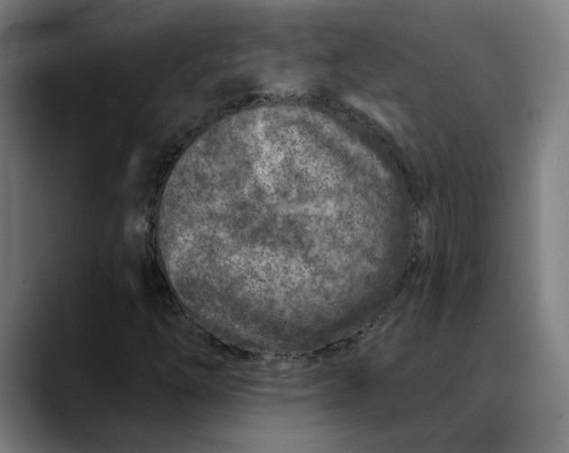 X0000089701254200707121348