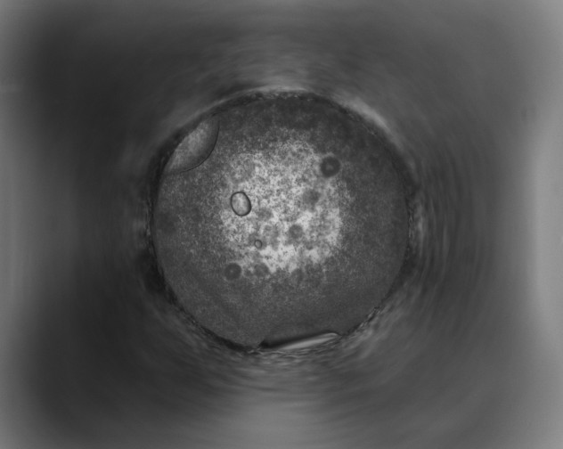 X0000089701255200707121348