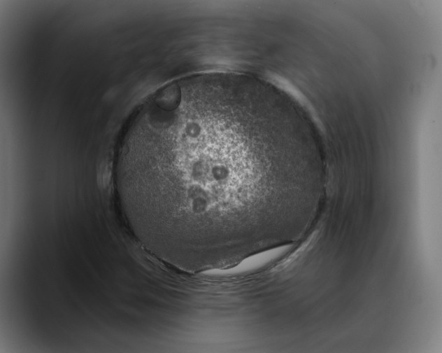 X0000089701259200707121348