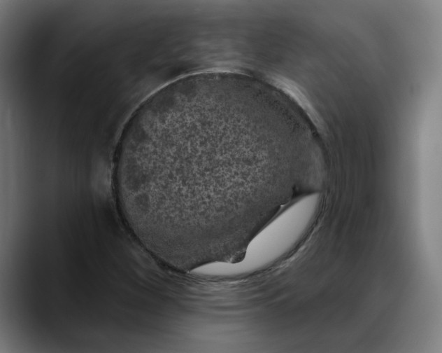 X0000089701260200707121348