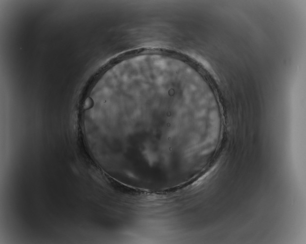 X0000089701263200707121347