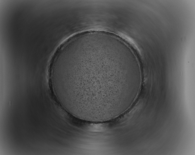 X0000089701264200707121347