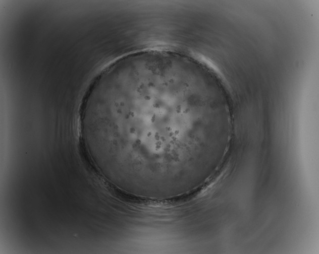 X0000089701267200707121347