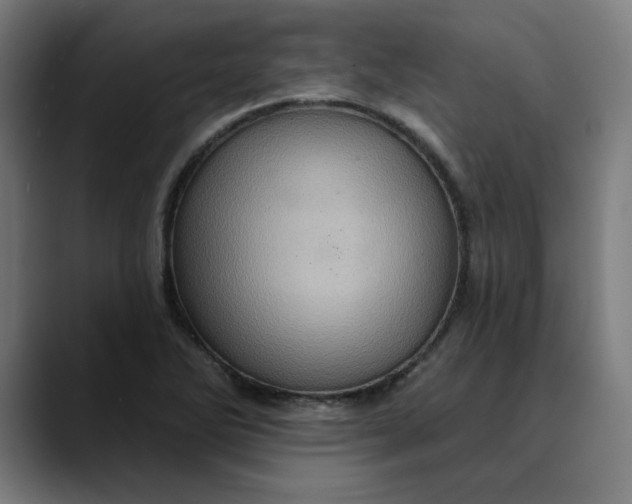 X0000089701270200707121347