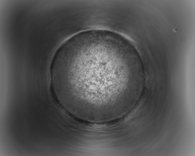 X0000089701271200707121347