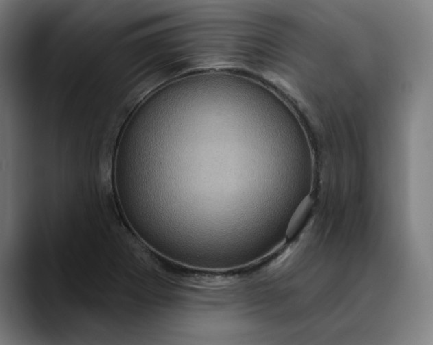 X0000089701273200707121347