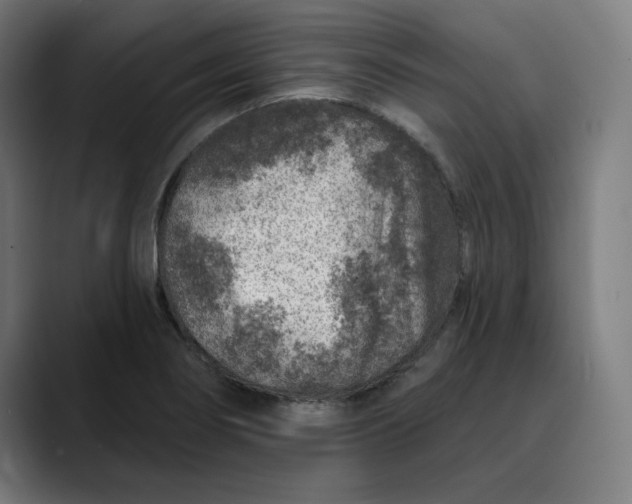 X0000089701274200707121347