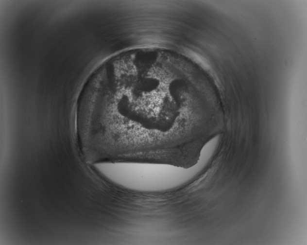 X0000089701275200707121347