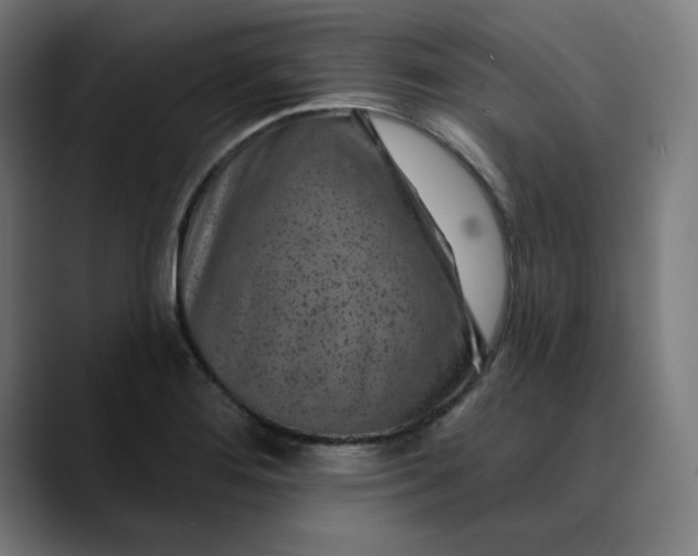 X0000089701276200707121347