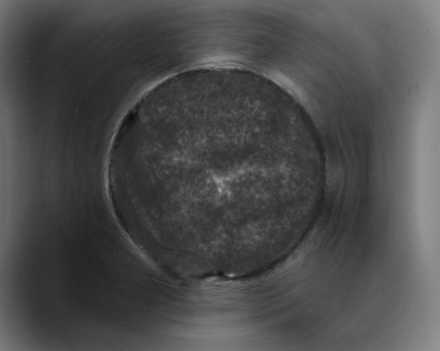 X0000089701277200707121347