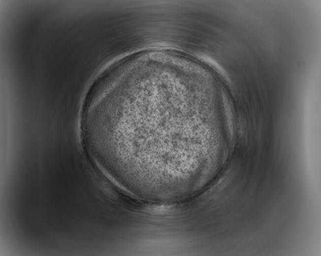 X0000089701278200707121347