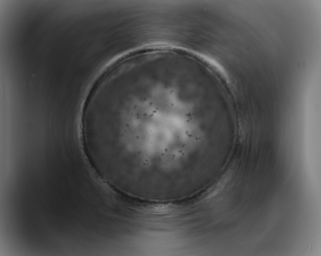 X0000089701279200707121347