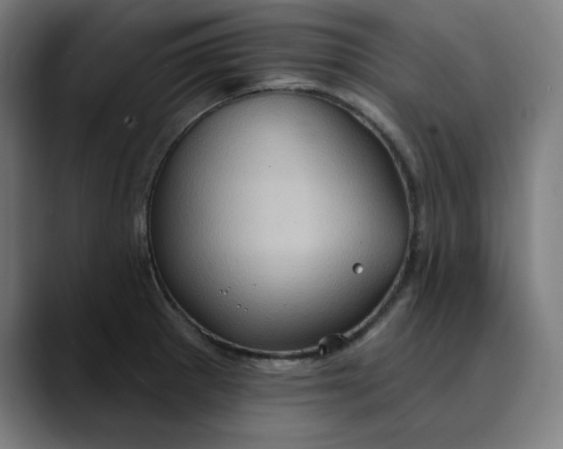 X0000089701281200707121347