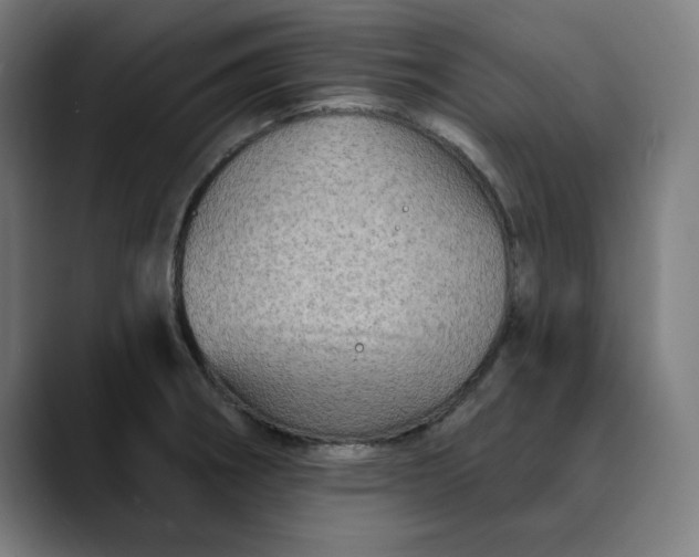 X0000089701282200707121347