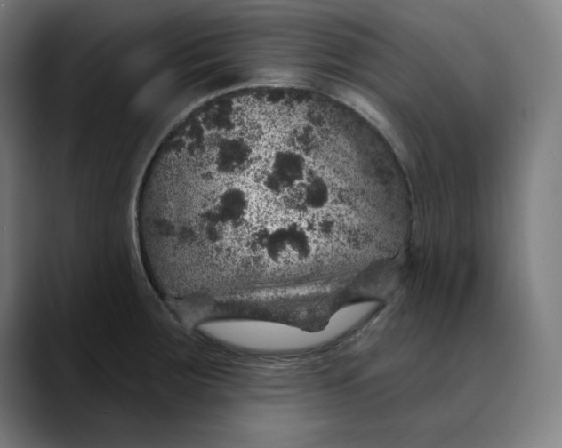 X0000089701283200707121347