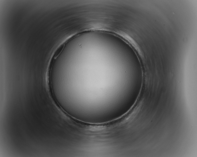 X0000089701285200707121347