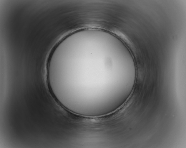 X0000089701286200707121347